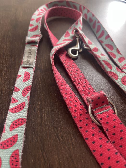 Kolorowa smycz przepinana amiplay 2,3 metra