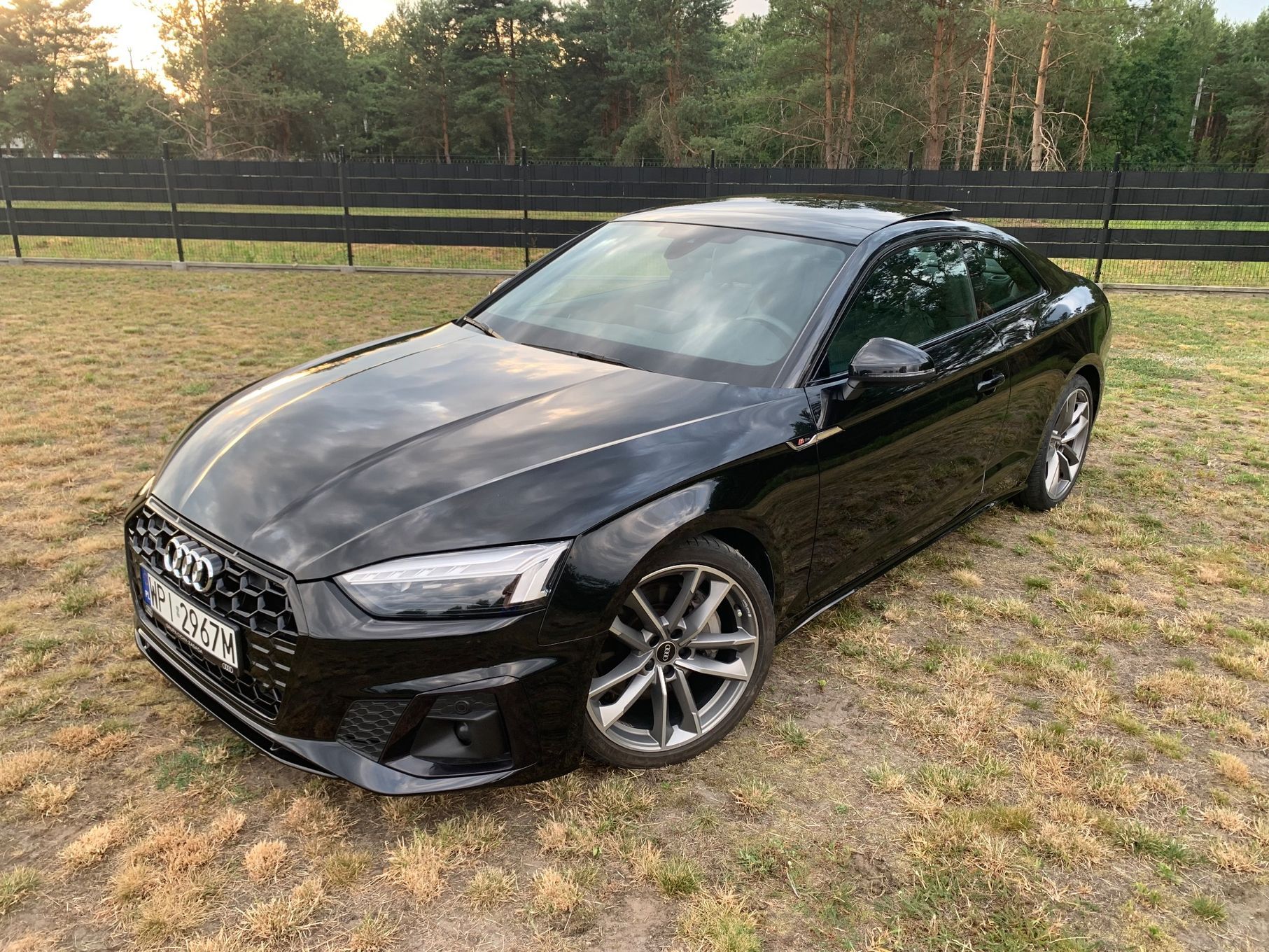 Audi A5 F5 S-Line 265PS Quattro Kamery360 Matrix Virtual Cockpit Igła