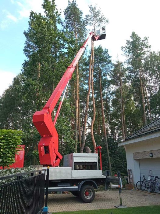 Wycinka drzew, przycinanie koron, zrębkowanie gałęzi, wywóz urobku