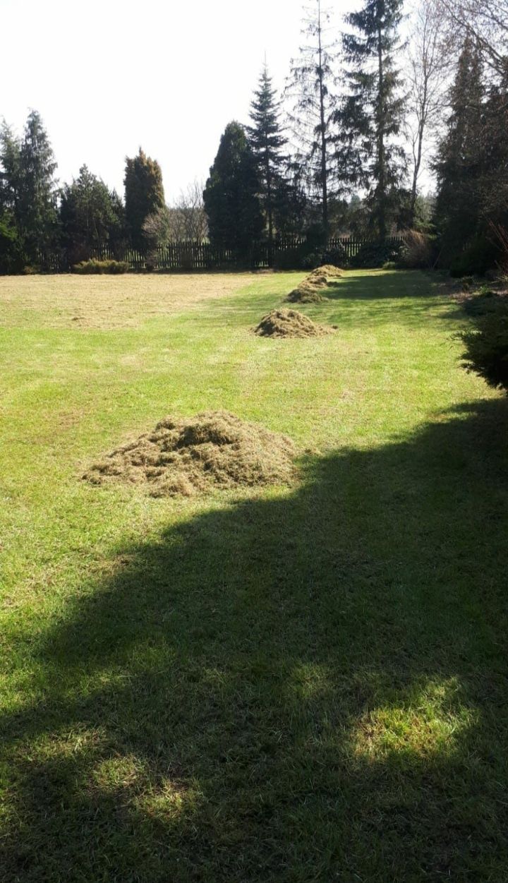 Wertykulacja koszenie trawnika pielęgnacja ogrodu cięcie żywopłotu