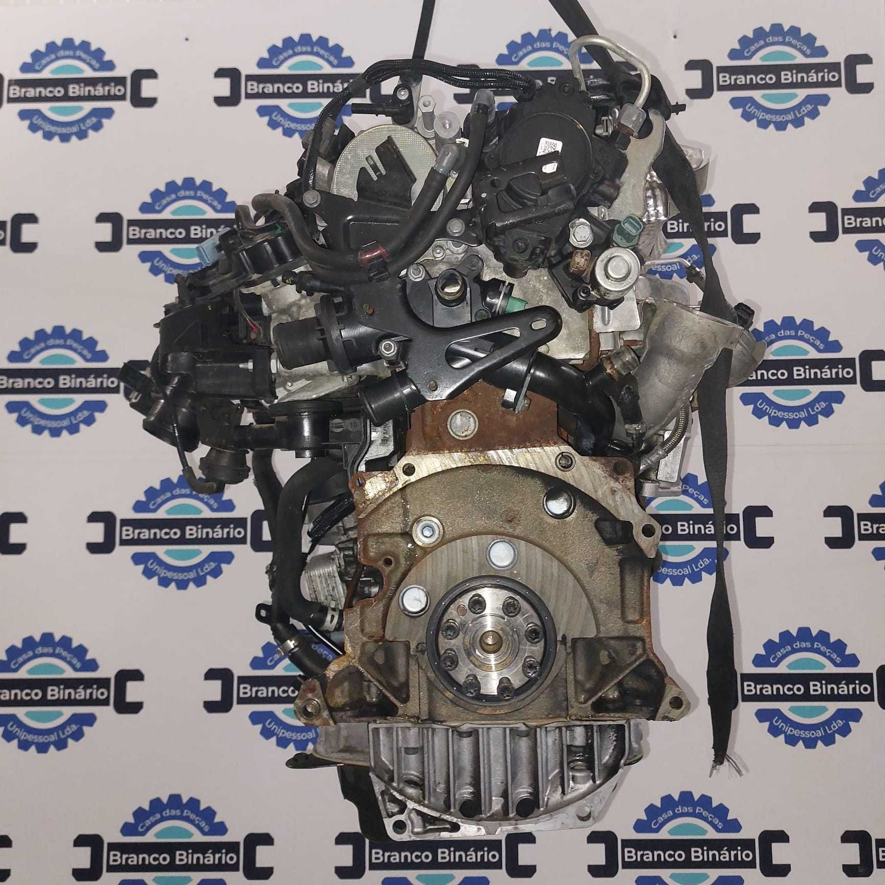 Motor Peugeot/Citroen 2.0 HDI
