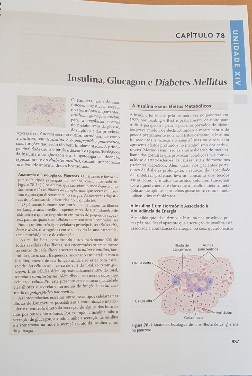 Tratado de Fisiologia Médica Guyton & Hall