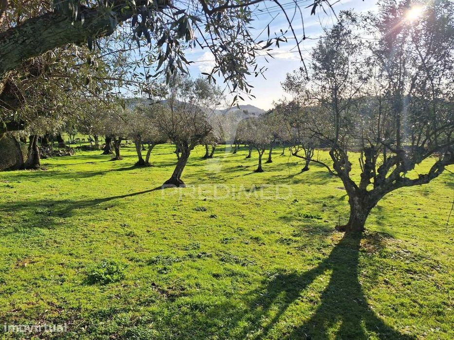 Quinta em Vale de Cavalos