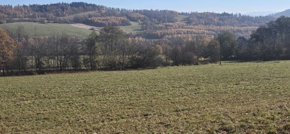 PIĘKNIE położone działki Sokolica-Krajanów z warunkami zabudowy