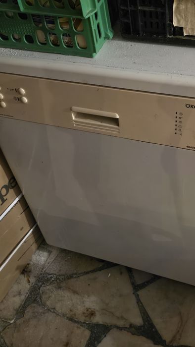 Maquina lavar loica domestica