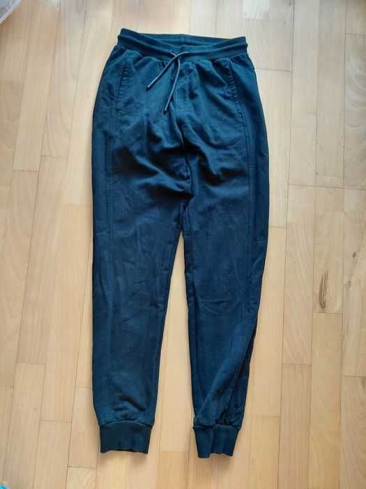 Spodnie dresowe bluza coccodrillo r. 152