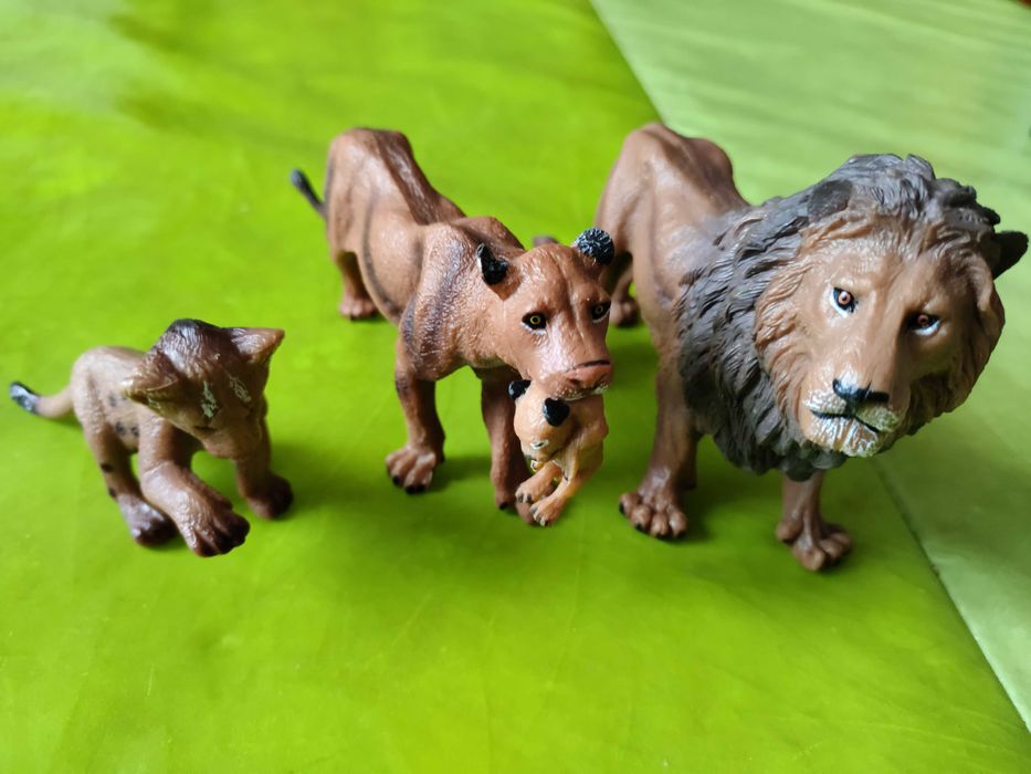 Animais Selvagens como novos Série model