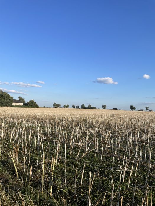 Sprzedam działkę 10,45ha przy trasie krajowej 91