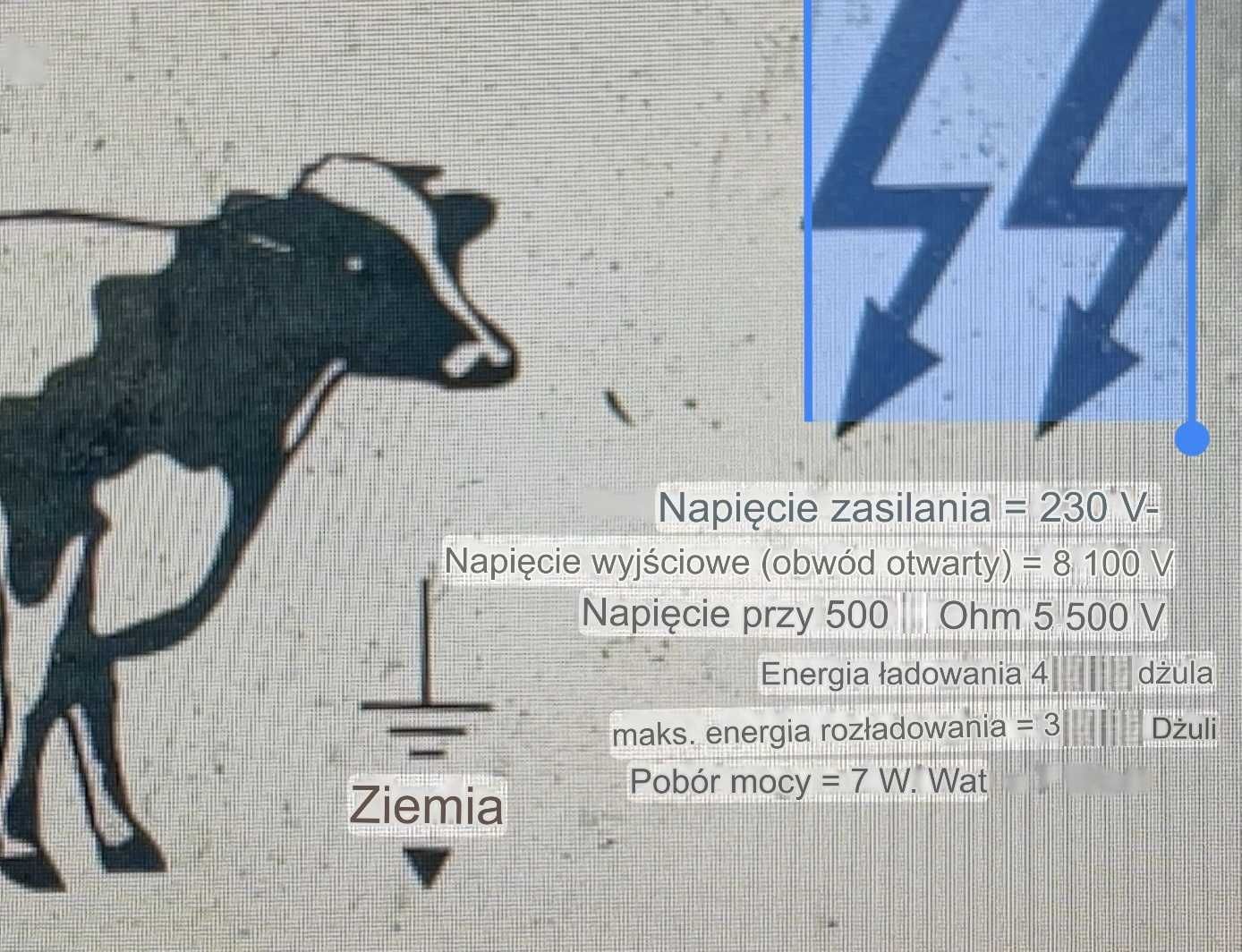 pastuch elektryczny elektryzator