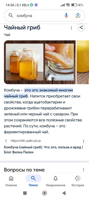 Чайний гриб, можна робити популярну Комбучу .