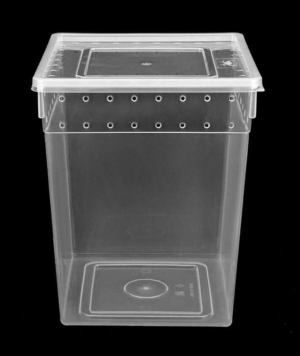 Terrarium dla ptasznika pojemnik hodowlany braplast 21x21x25cm pająk