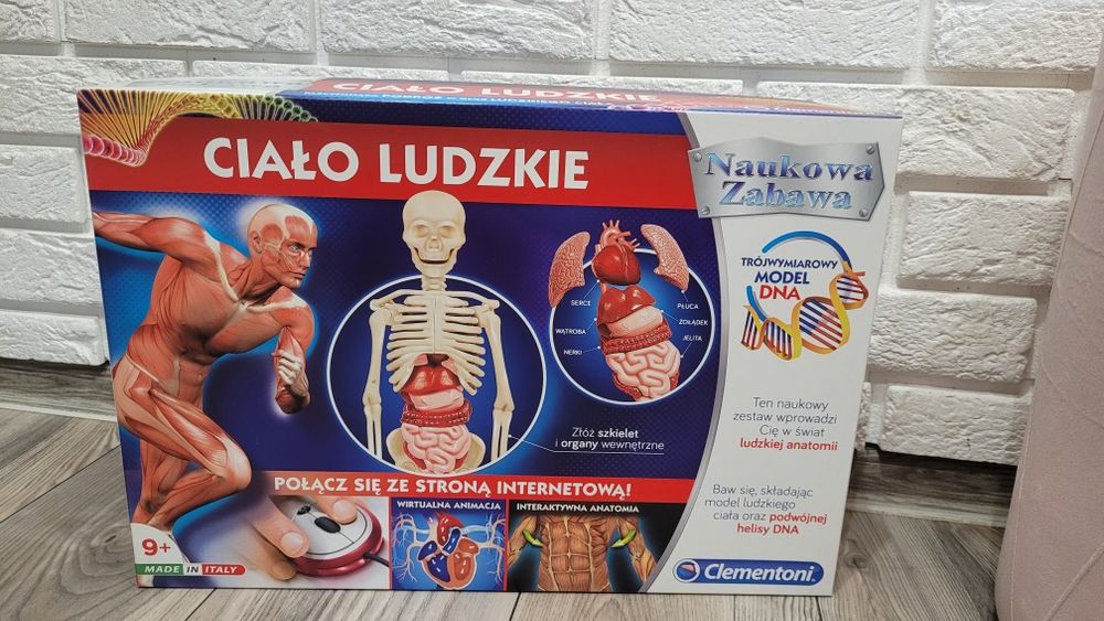 Ciało ludzie Clementoni