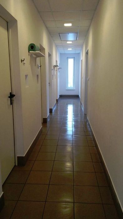 Hotel dla zwierząt w siedzibie przychodni Wojciecha Toczka.