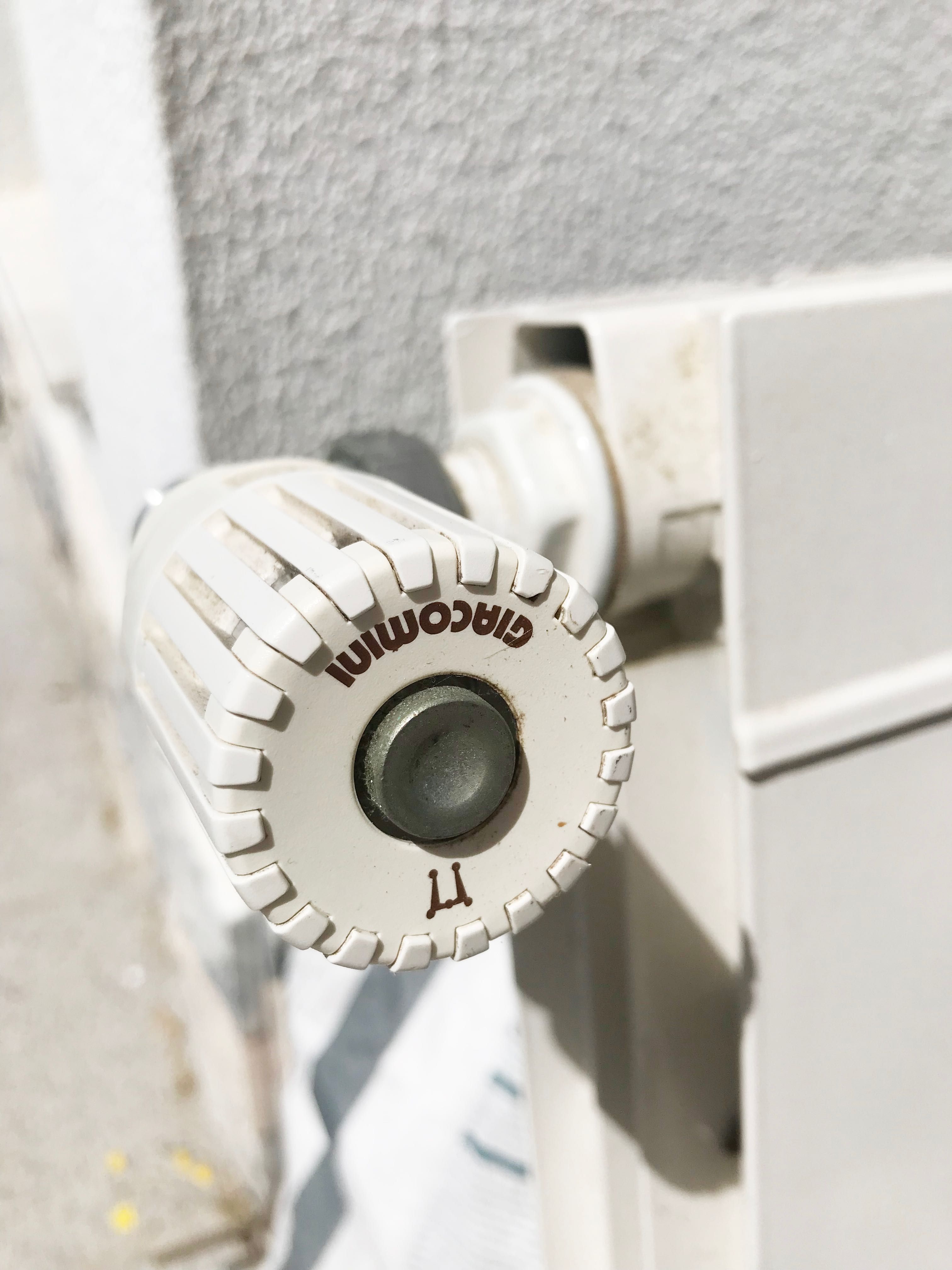 2 Radiadores de água (aquecimento central)
