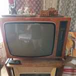 Telewizor kolorowy BERYL 102