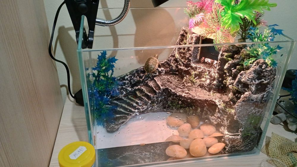 Sprzedam akwarium dla żółwia