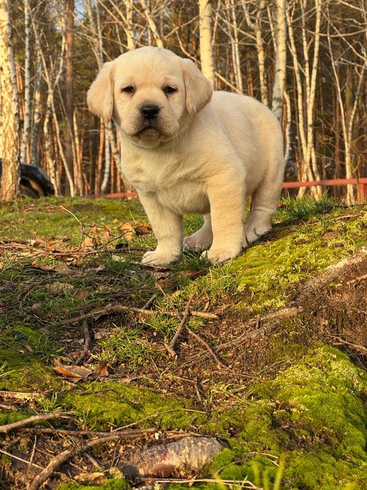 Самі кращі малюки