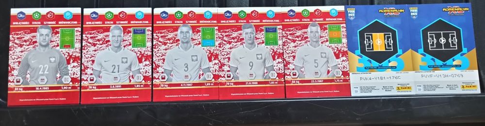 Kart piłkarskie PANINI