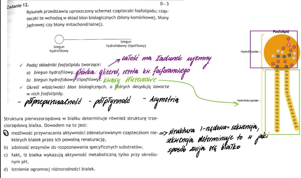 kurs z biologii; matura 2026
