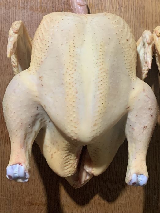 Продам тушки домашнього бройлера