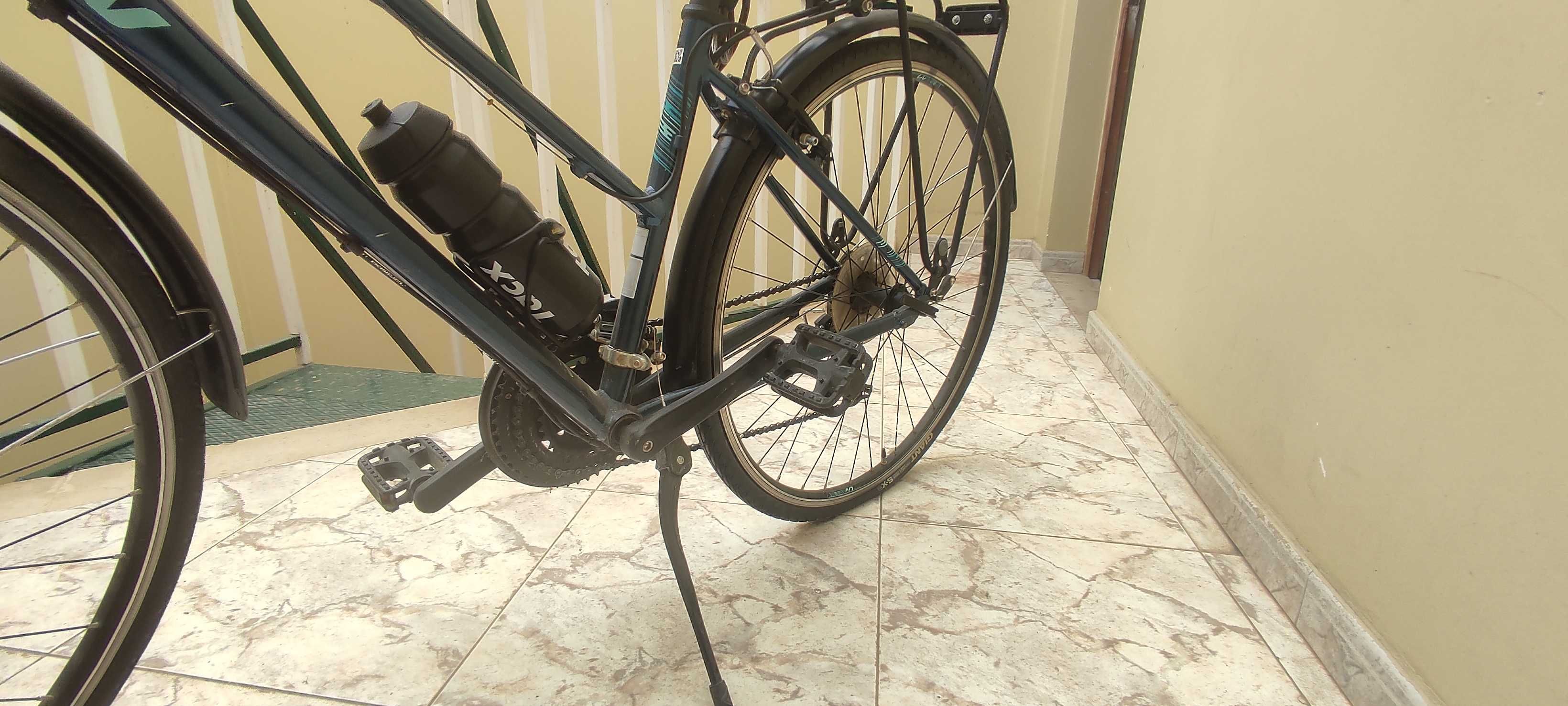 Bicicleta vintage