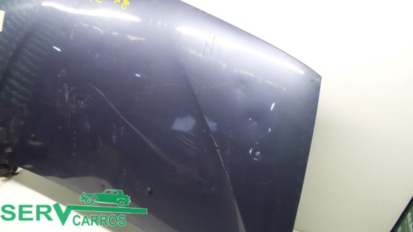 Capot RENAULT Scénic I (JA0/1_)