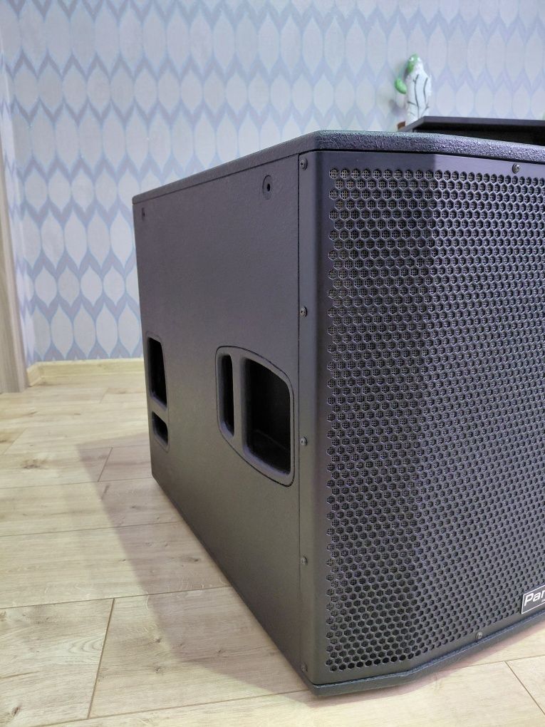 Активний сабвуфер Park Audio NX6118P + чохол