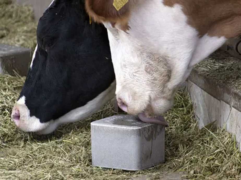 Сіль Лизунець-кормова для тварин(ВРХ, овець та кіз) ціна за блок 5 кг