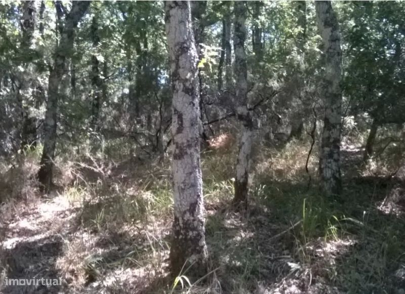 Terreno, Bragança, Vinhais