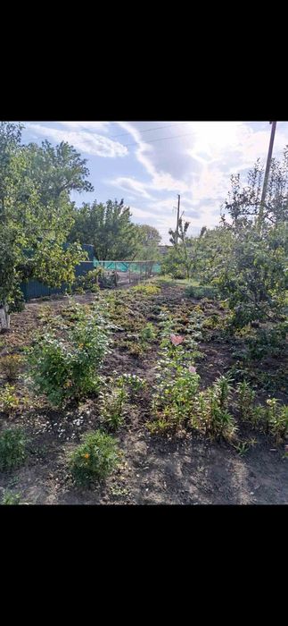 Продам будинок в селищі Машівка