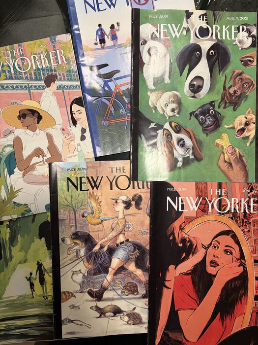 65 Revistas New Yorker