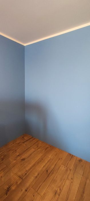 Montaż paneli, malowanie, drobne prace remontowe.