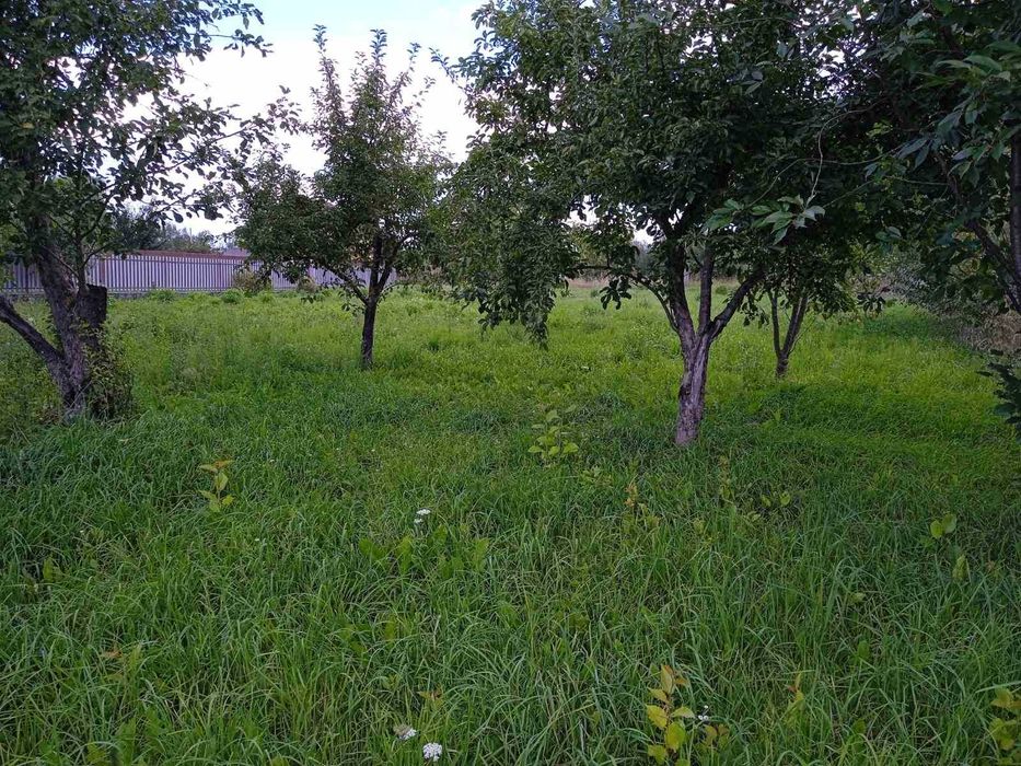 Продам будинок і земельну ділянку в Оліївці (8 км від Житомира).