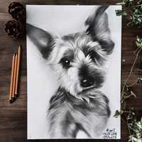 Portret psa rysowany ze zdjęcia
