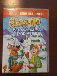 Bajka scooby-doo i Straszna zima pod psem płyta dvd