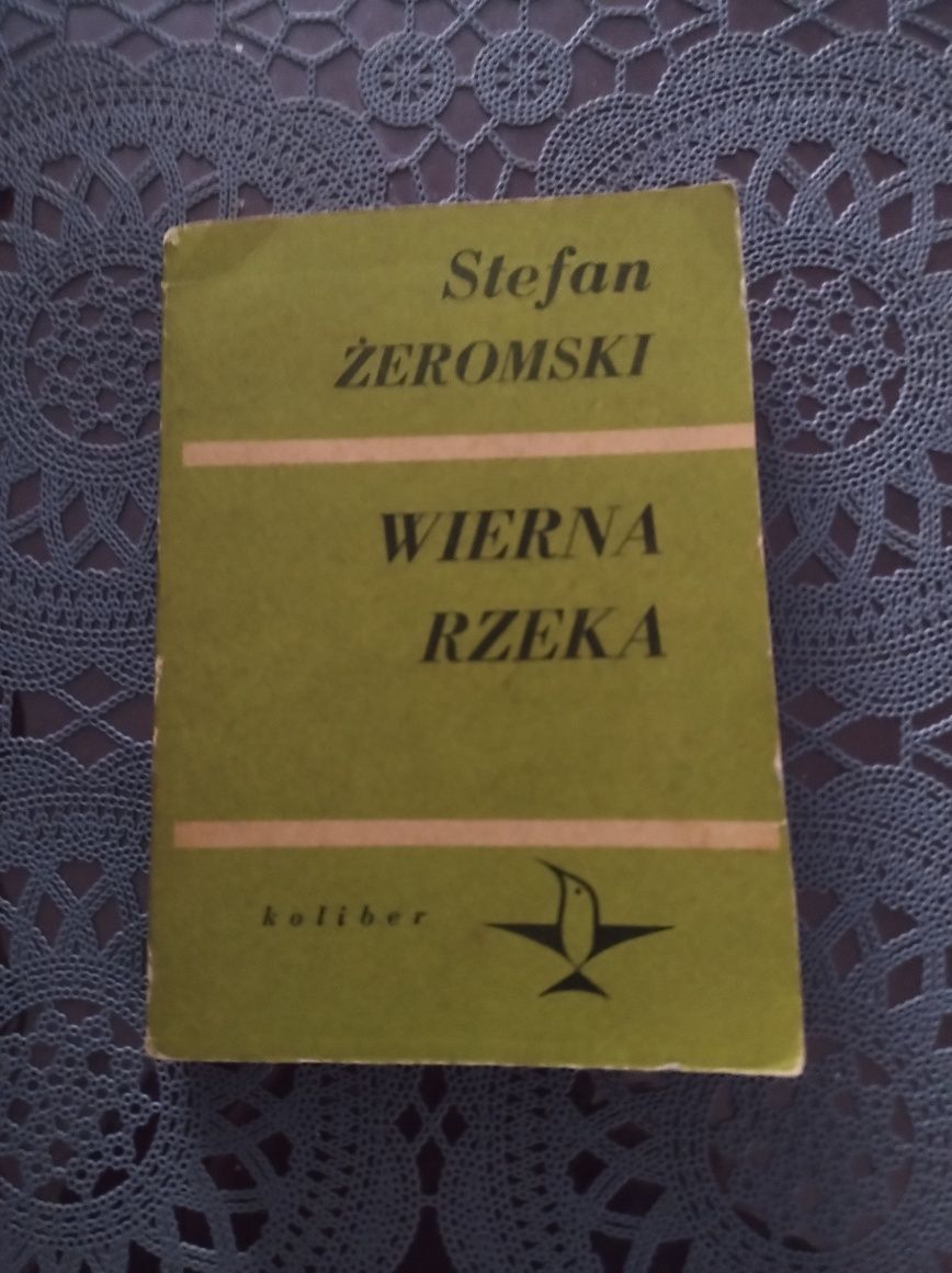 Wierna rzeka Żeromski