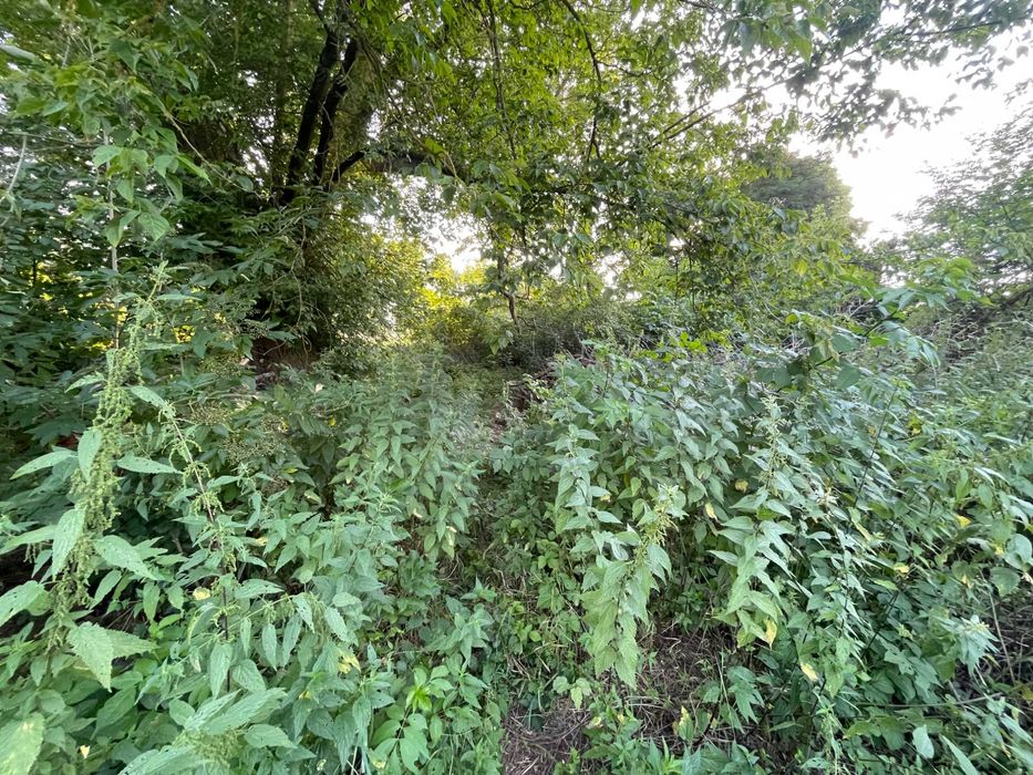 Земля, що працює на вас: 6 соток для максимального прибутку! HH