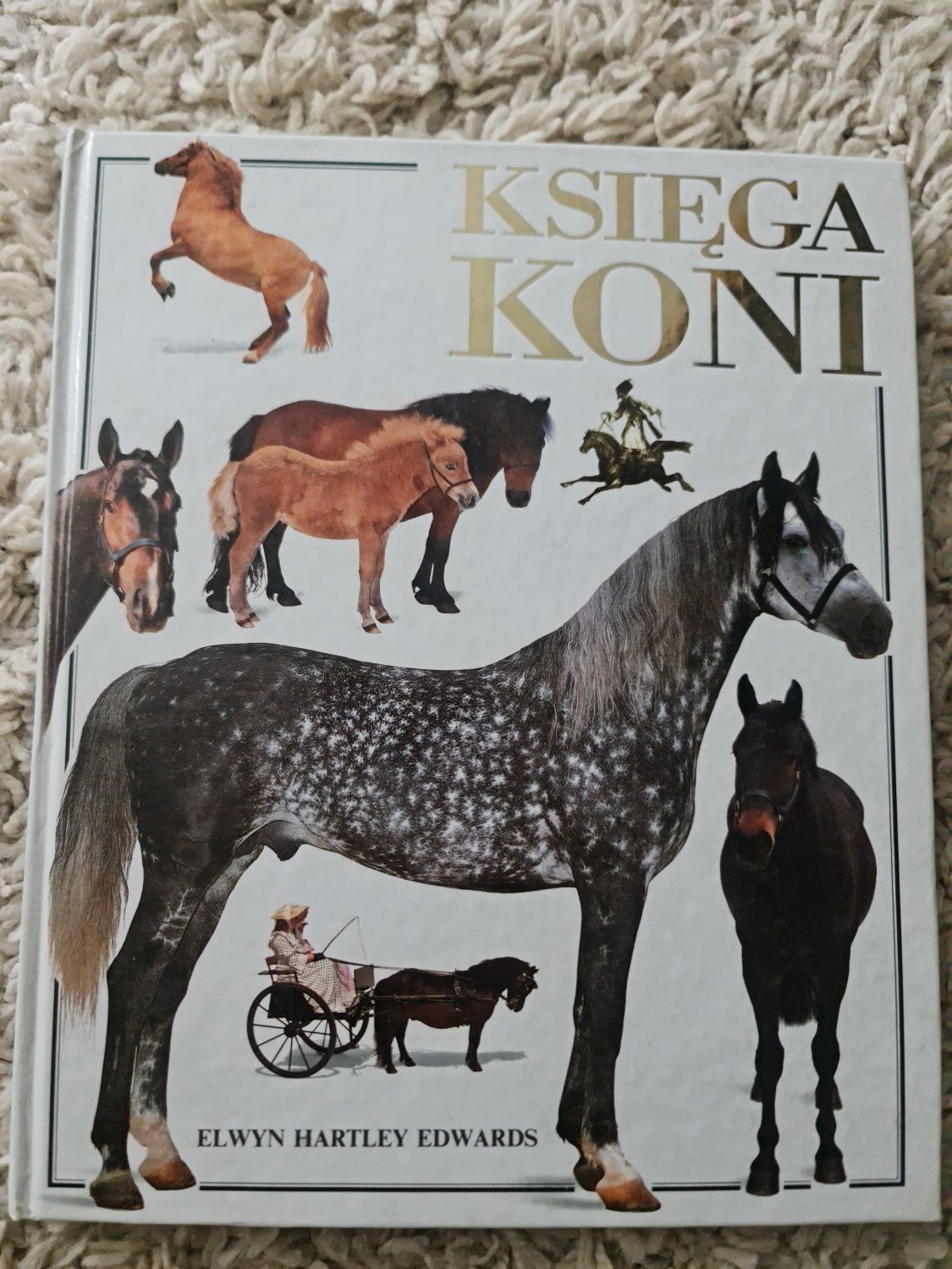 Ilustrowana Księga koni