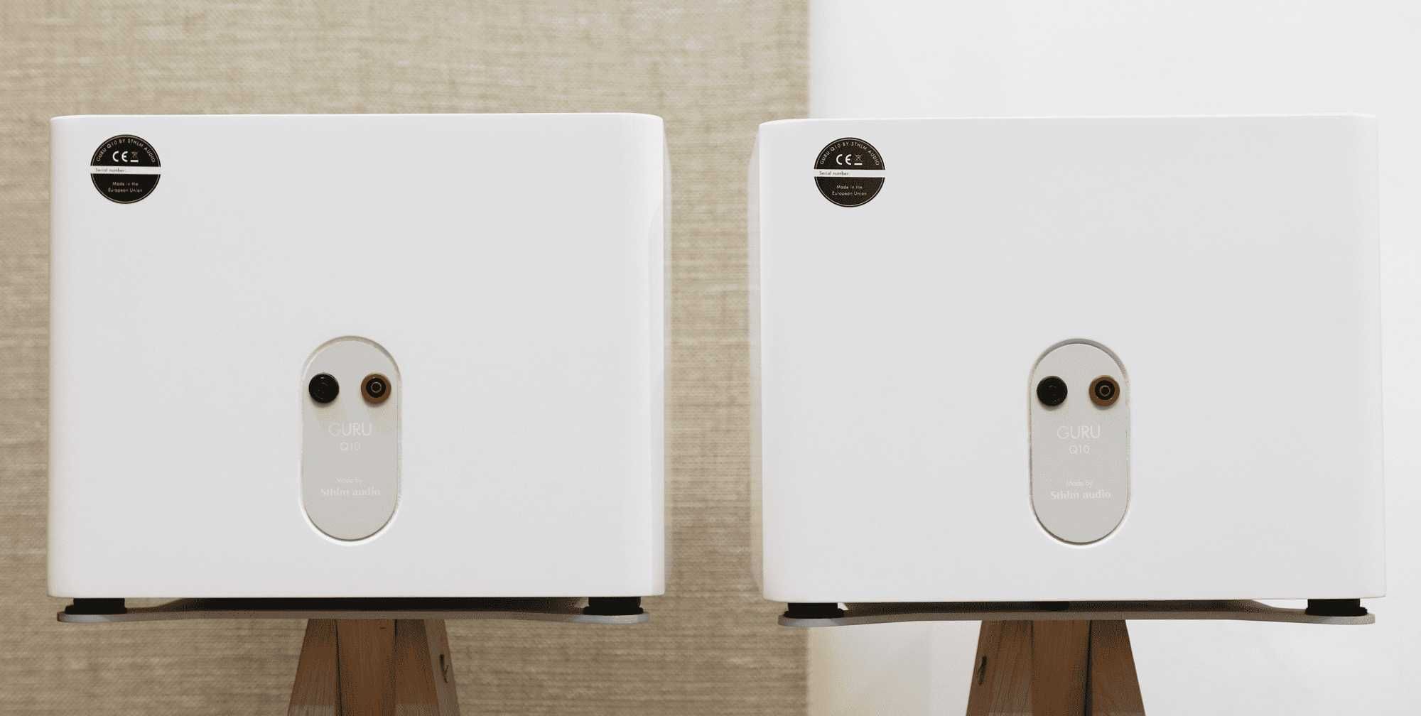 Kolumny podstawkowe Guru Audio Q10 (białe)