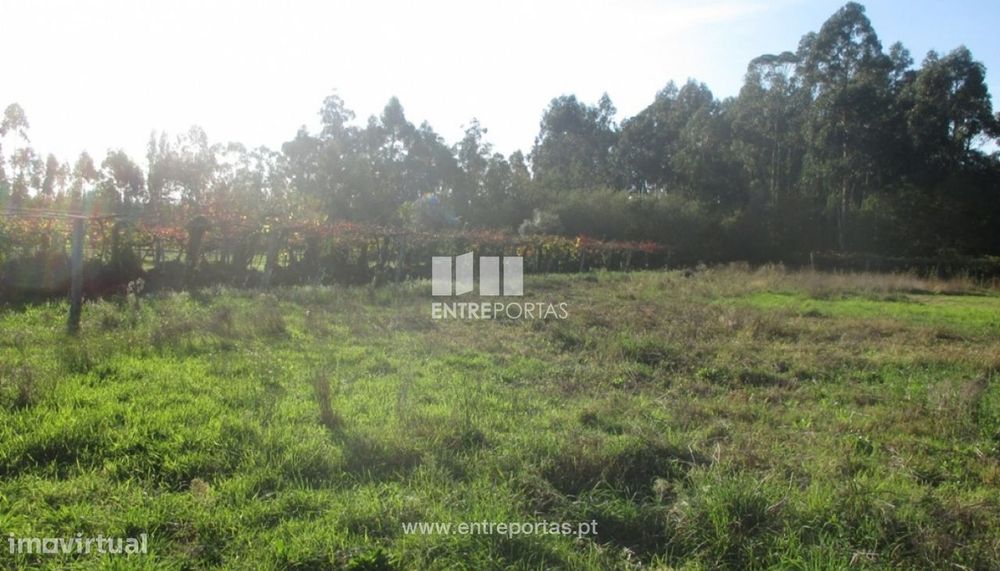 Venda de terreno agrícola, Barroselas, Viana do Castelo