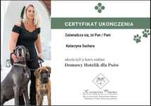 Domowy Hotelik dla Psów - 50 zł/dobę