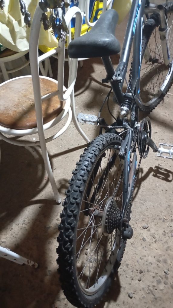 Bicicleta de desporto