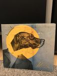 „Muchy” chcecipowiedziec - cd
