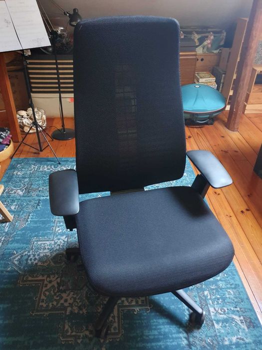 Cadeira Ergonómica de Escritório Haworth Fern