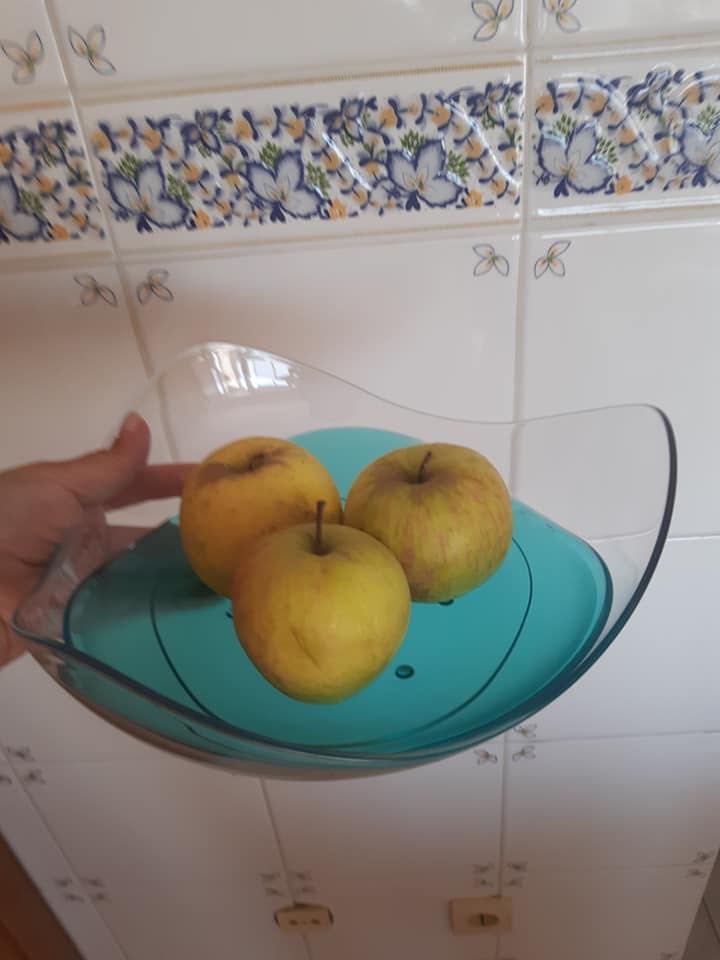 Cesto / Fruteira Elegância Roxo ou Azul Tupperware NOVO