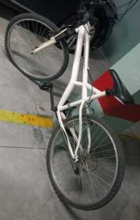 Bicicleta adulto