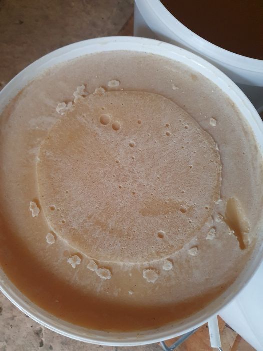 Miód w wiadrach z własnej pasieki. Hurt