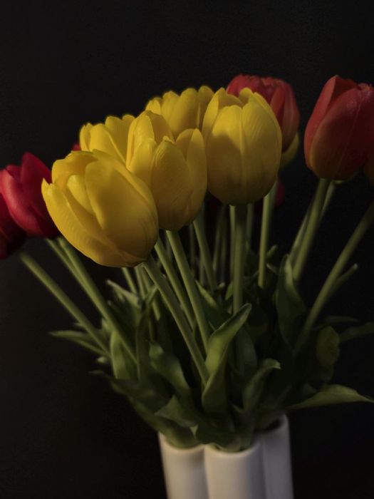 Пропоную гелеві тюльпани - ніжні, як живі.