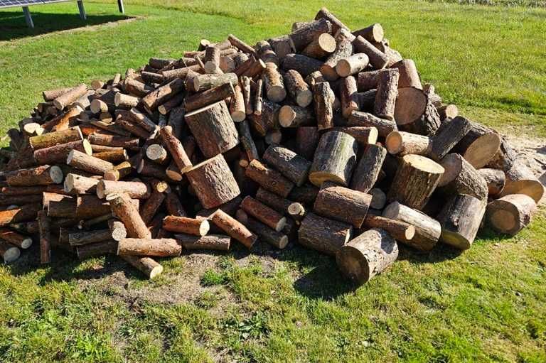 Drewno opałowe - Sosna