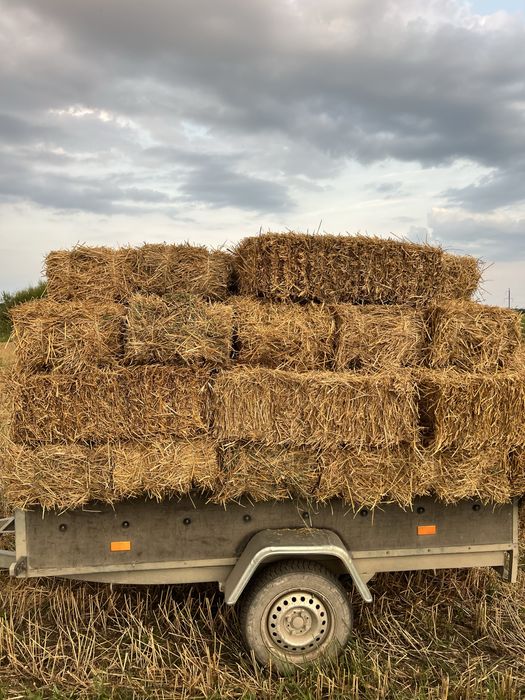 Тюки соломи з з пшениці та овса